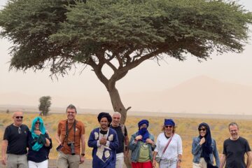 Viaje al Sahara