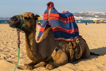 Voyage au Maroc